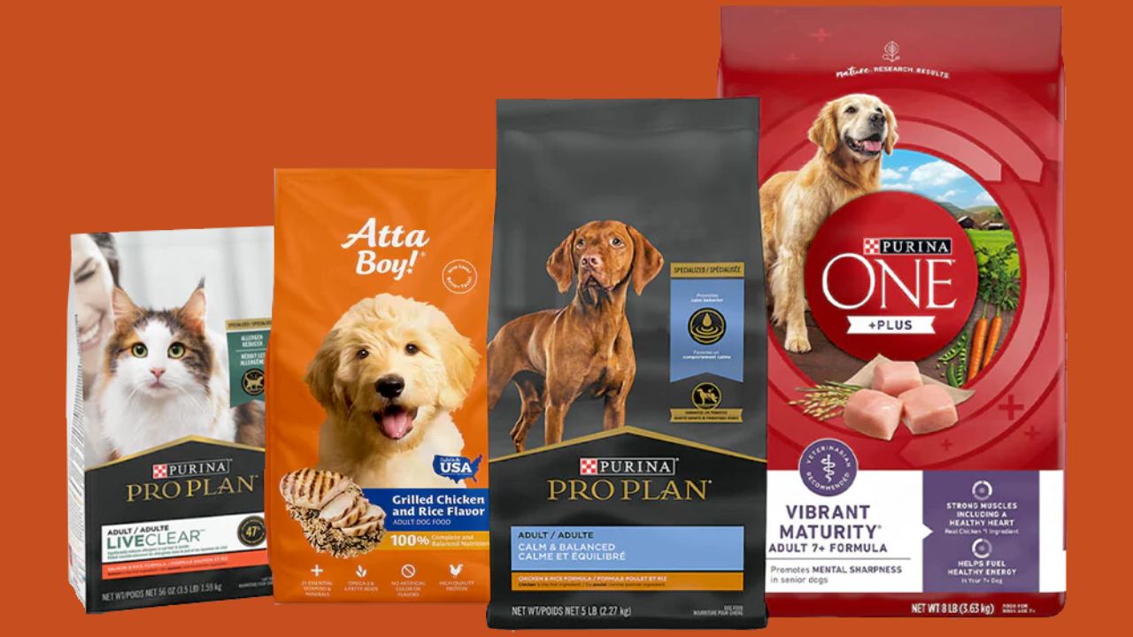 What Should You Know Before Ordering Pet Food Pouches from BN PACK?