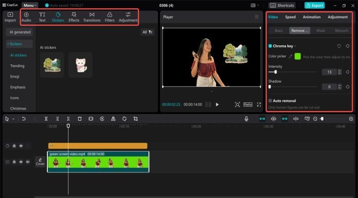 Enhance Your Videos: MP4 Editing Tips for Social Media Success