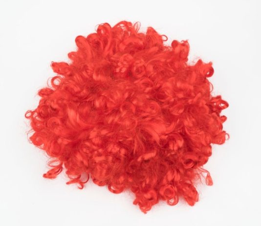 How to Open the Door Lock Actuators Manually?