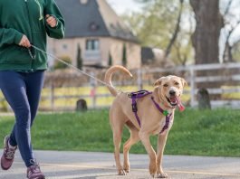 The Role of Fuel Tank Straps in Preventing Fuel Tank Accidents