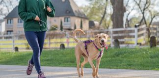 The Role of Fuel Tank Straps in Preventing Fuel Tank Accidents