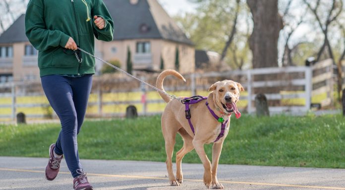 The Role of Fuel Tank Straps in Preventing Fuel Tank Accidents