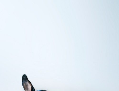 A-Premium Provides The Outstanding Quality Spare Parts