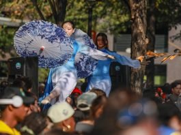 Lights, Flavors, Action: The Magic of an Asian Night Market