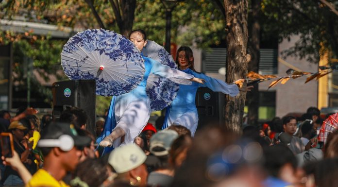 Lights, Flavors, Action: The Magic of an Asian Night Market