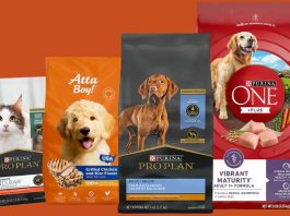 What Should You Know Before Ordering Pet Food Pouches from BN PACK?