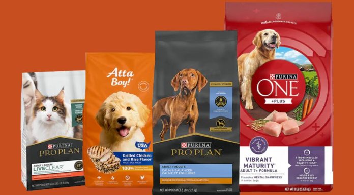 What Should You Know Before Ordering Pet Food Pouches from BN PACK?